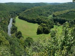 Národní park Podyjí -pohled na údolí Dyje z moravské strany