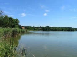 Rybník Buňkov