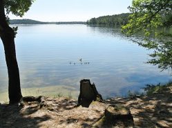 Máchovo jezero