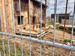 ZOO Tábor