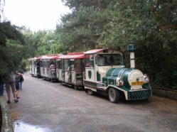 Lokálka Amálka v ZOO parku Chomutov