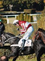 Velká Pardubická 2024: Program, vstupenky a další informace