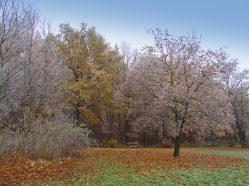 Hostivařský lesopark na podzim