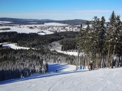 Abertamy z Plešivce
