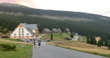 Cestování se psem? Co nabízejí pet friendly hotely a na co si dát pozor