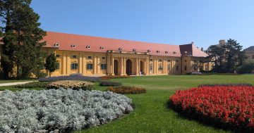 Tipy na víkend 7.-8. června 2025: Slavnosti piva a vína, divadla, otevřené zahrady a včely