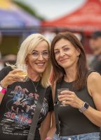 Vinohraní ve Viniu