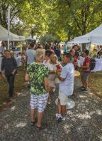 Skutečný festival vína