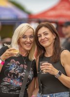Vinohraní ve Viniu