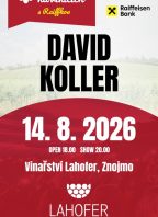 David Koller (Hudba na vinicích)