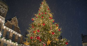 Nepovedená předehra adventu – vánoční strom v Ústí nad Labem nevydržel