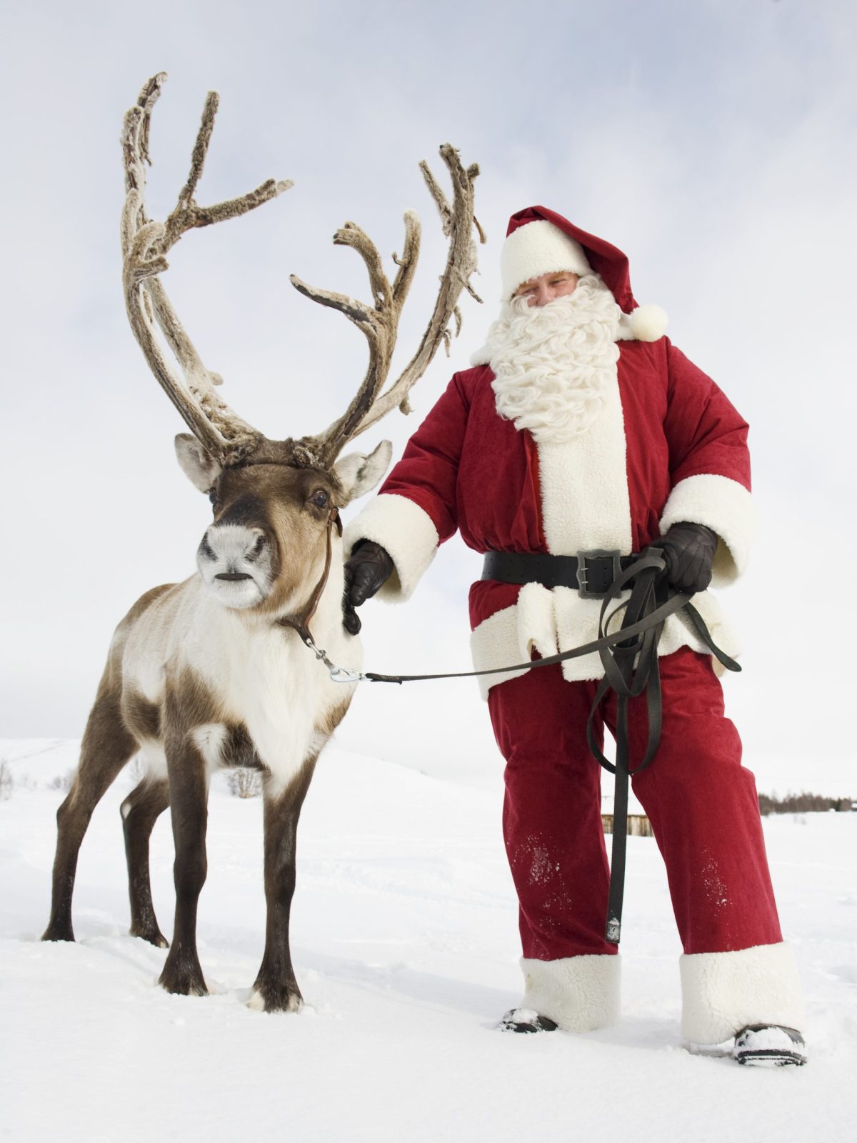Santa a sob