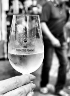 Vinobraní v Kostelci nad Černými Lesy
