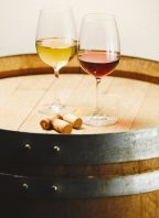 Degustace u cimbálu ve Vinofruktu